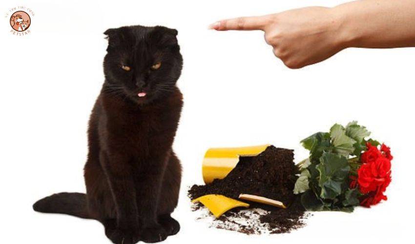 Những sai lầm cần tránh